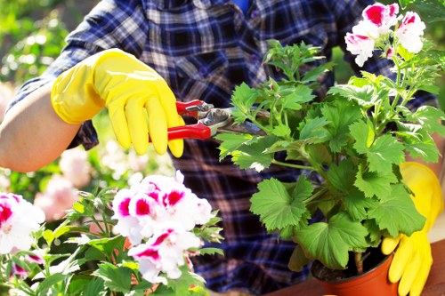 Front view of a residential lawn being inspected by a gardener