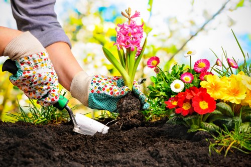 A person wearing gardening gloves is planting a pink hyacinth into freshly turned dark soil in a garden bed. To the right, there are colorful flowers, including red, yellow, white, and pink blooms, arranged in a flower bed or border. In the background, blurred greenery and trees are visible under a bright, partly cloudy sky, suggesting a sunny day suitable for outdoor gardening. The garden appears well-maintained, with a mix of flowering plants and fertile soil, indicating regular lawn care and landscape management services from Lawn Mowing Alperton. The scene emphasizes active planting within a vibrant, landscaped outdoor space typical of residential gardens in Alperton or nearby areas.
